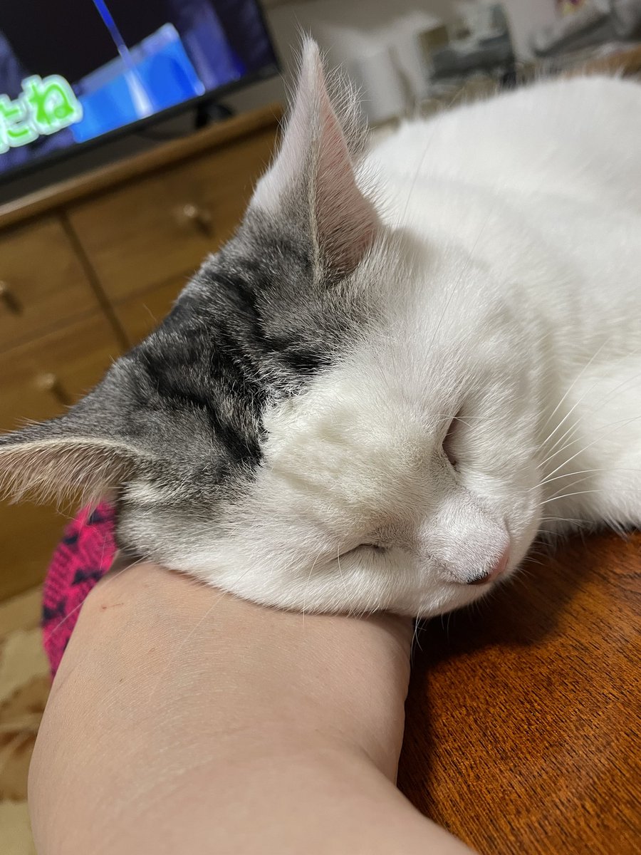 ᵍᵒʰᵃⁿ𓃠ᵐᵘᵍᶦ𓃠ˡᵉᵒ𓃠ˢᵉⁿ𓃠 on X