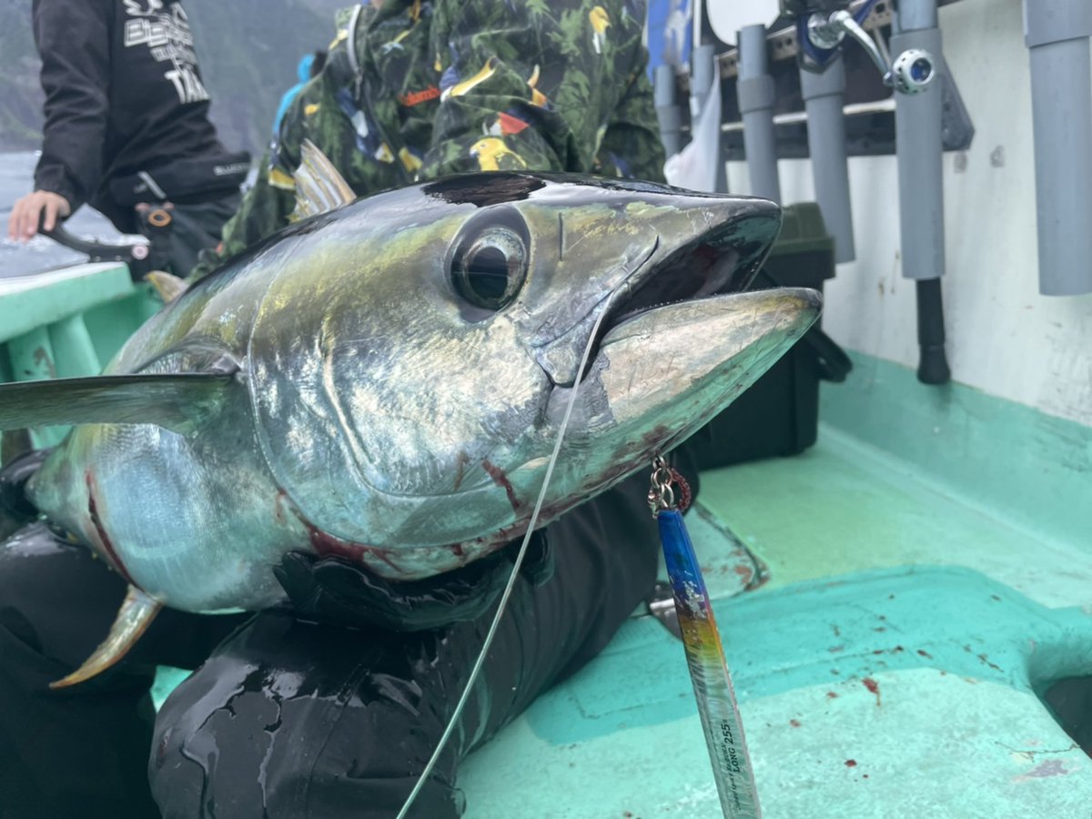 iwajigging's tweet photo. ついにマグロ童貞卒業しましたー！！
ベンチプレス110キロあげてても、しんどいものはしんどかった(笑)
一緒に遠征船デビューしてくれて、何から何まで気にかけてくれたりょうへいさんには感謝しかありません！
次は20キロオーバー目標！ https://t.co/x7pltaaiKX