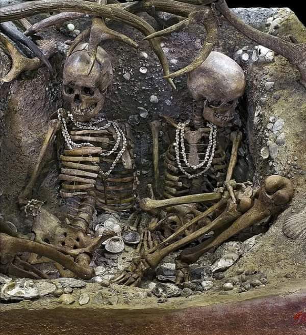 Skeletons of two women excavated from a tomb on french island of Teviec. Bodies were covered with landfill debris about 6500 years ago and carefully buried under a roof of horns.

Touluse Museum, France

#archaeohistories