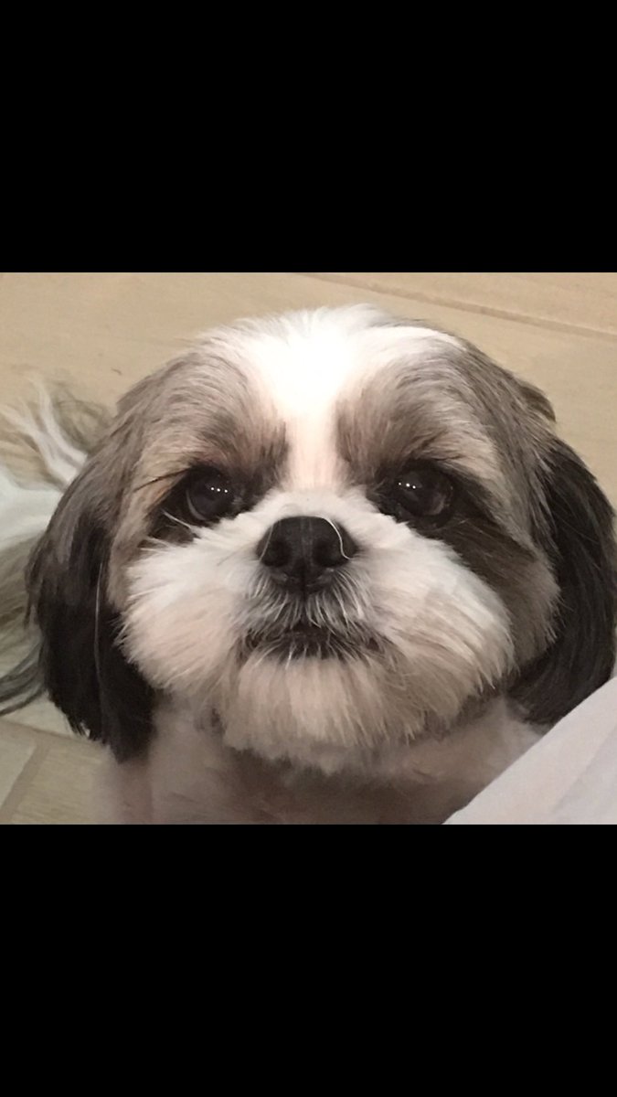 Diane Herst tweet media