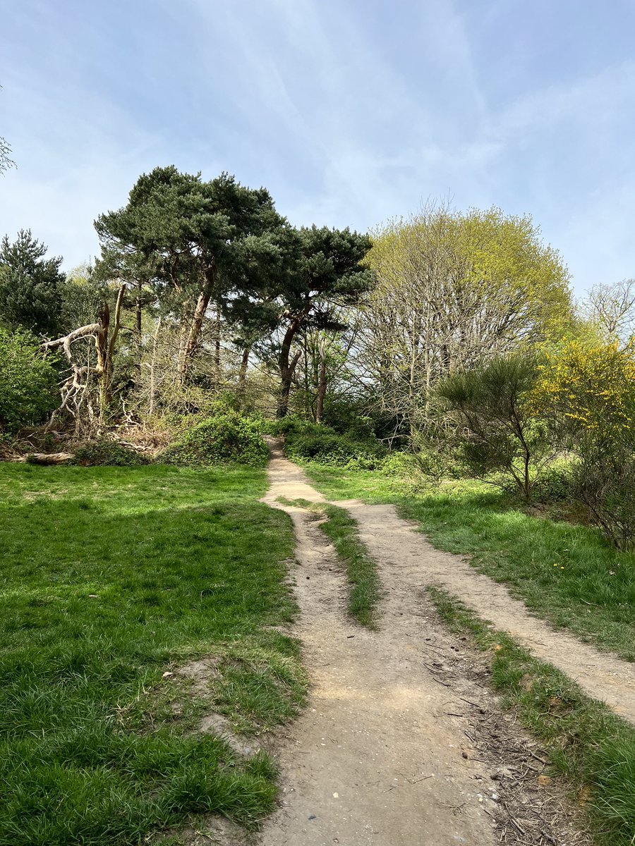 Fabulous Hampstead..  🌳☀️🌸🌼
⠀
#GardenersWorld #beautiful #BlossomWatch #NaturalBeauty #PhotoOfTheDay #London #PositiveVibes #PositiveEnergy #energyspots #energycharging #energytwitter #londonbylondoners #london2022