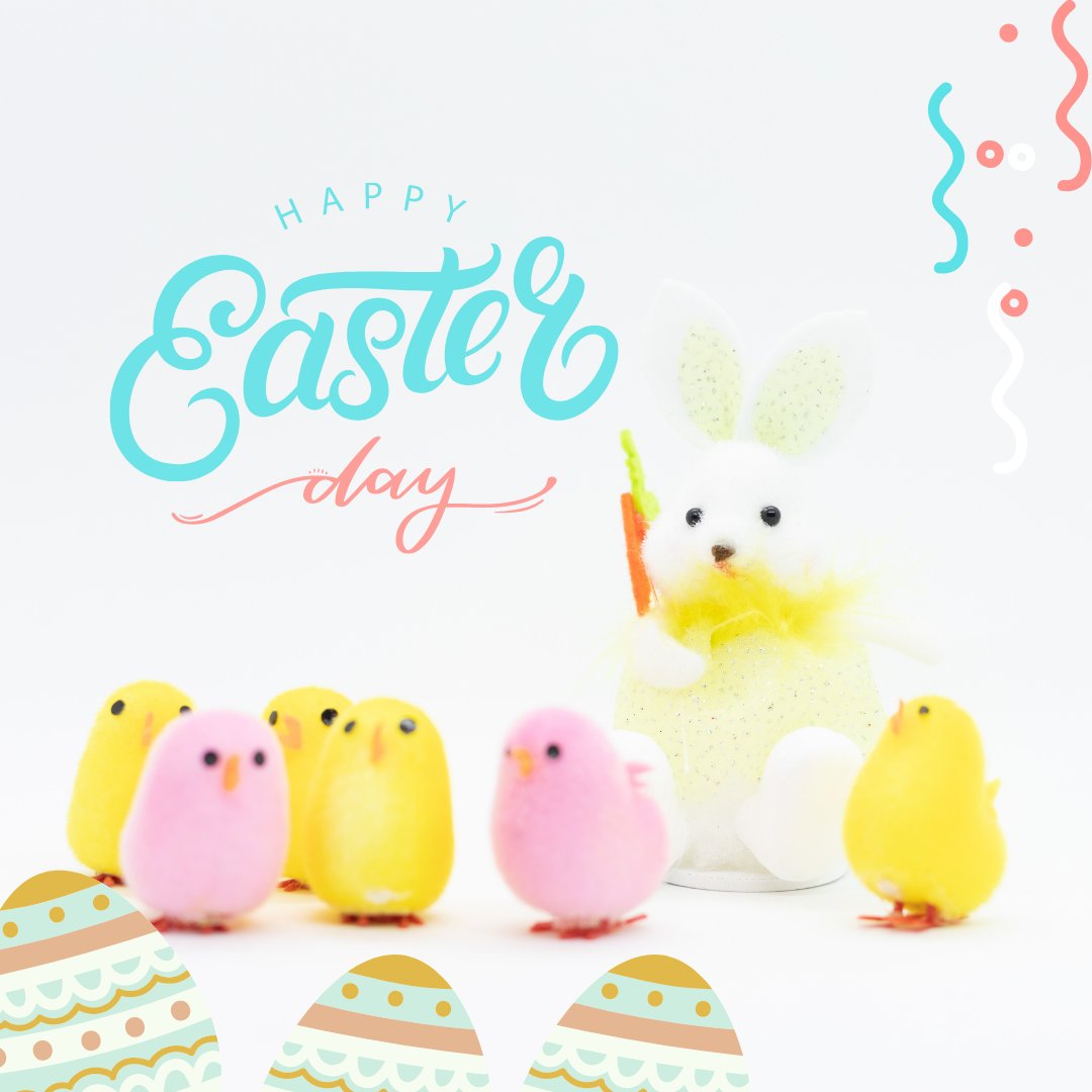 LAFirstNews's tweet photo. Happy Easter from all of us at BRProud! We hope you have an eggcellent day with family and friends! #local33today #local33 #fox44firstedition #fox44 #brproud #batonrouge https://t.co/64oy3sHvJa