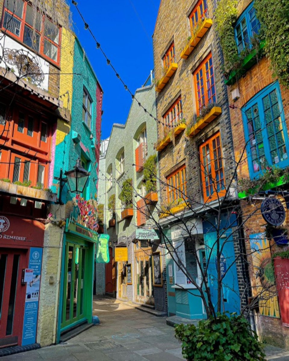 VisitBritainBR's tweet photo. O Neal's Yard é uma jóia escondida em Londres, repleta de cores, é um lugar que você provavelmente gostaria muito de conhecer 😍 😍
📌: Londres, Inglaterra
📷 IG/dannycorkerry
#WelcomeToAnotherSideOfBritain #England #London #Neal’sYard #ColorfulLondon #HiddenGem https://t.co/STNCd3lS0G
