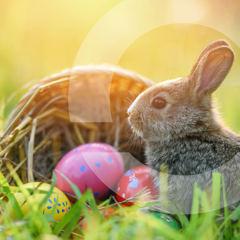 InRoads Credit Union tweet media