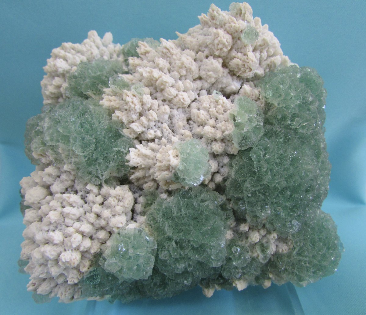 Bisbeeborn1's tweet photo. Featured Mineral
Vibrant green fluorite crystals from Xinyang Prefecture, Henan Province, China
Specimen size (approximately):
10.5 x 9 x 6.5 cm
https://t.co/z0aGP5xP2l
#fluorite #crystals #minerals #mineralspecimens #mineralcollecting #rocks #fineminerals https://t.co/08l3G0nZIX