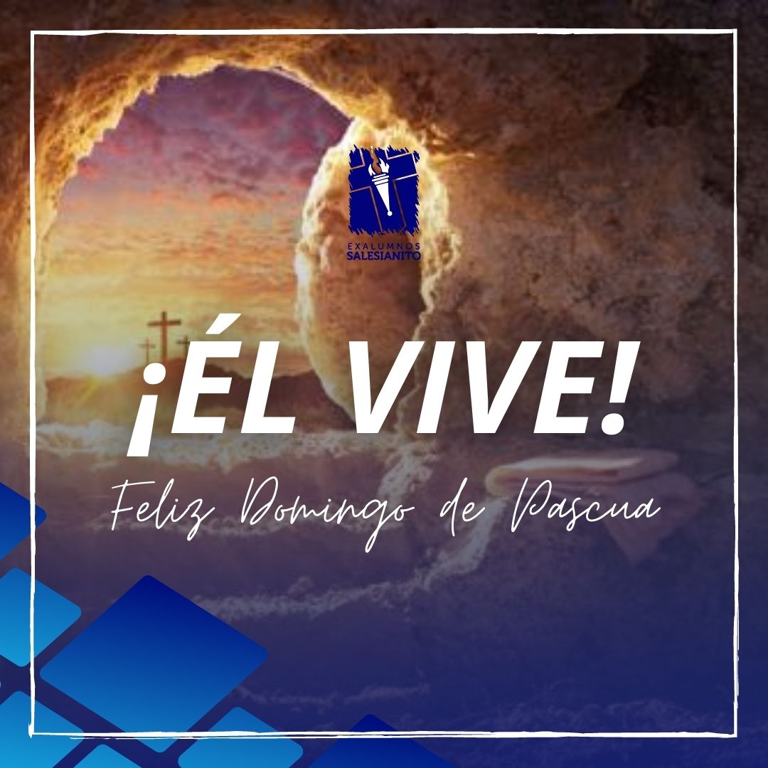 Exa Sale tweet media