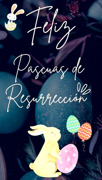 “Tengan todos un feliz domingo de Resurrección, que todo el amor de Jesucristo llene sus corazones de paz, bendiciones y amor.”