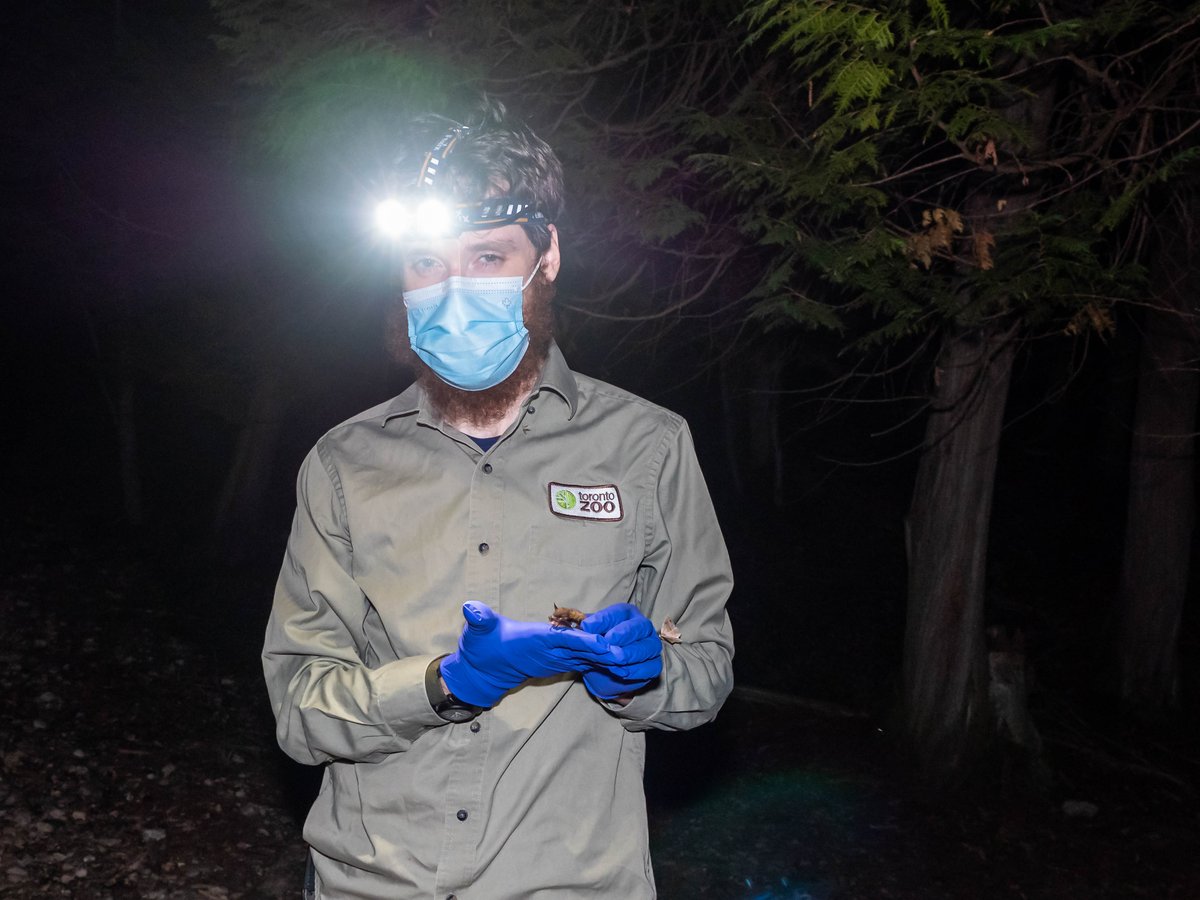 The Toronto Zoo tweet media