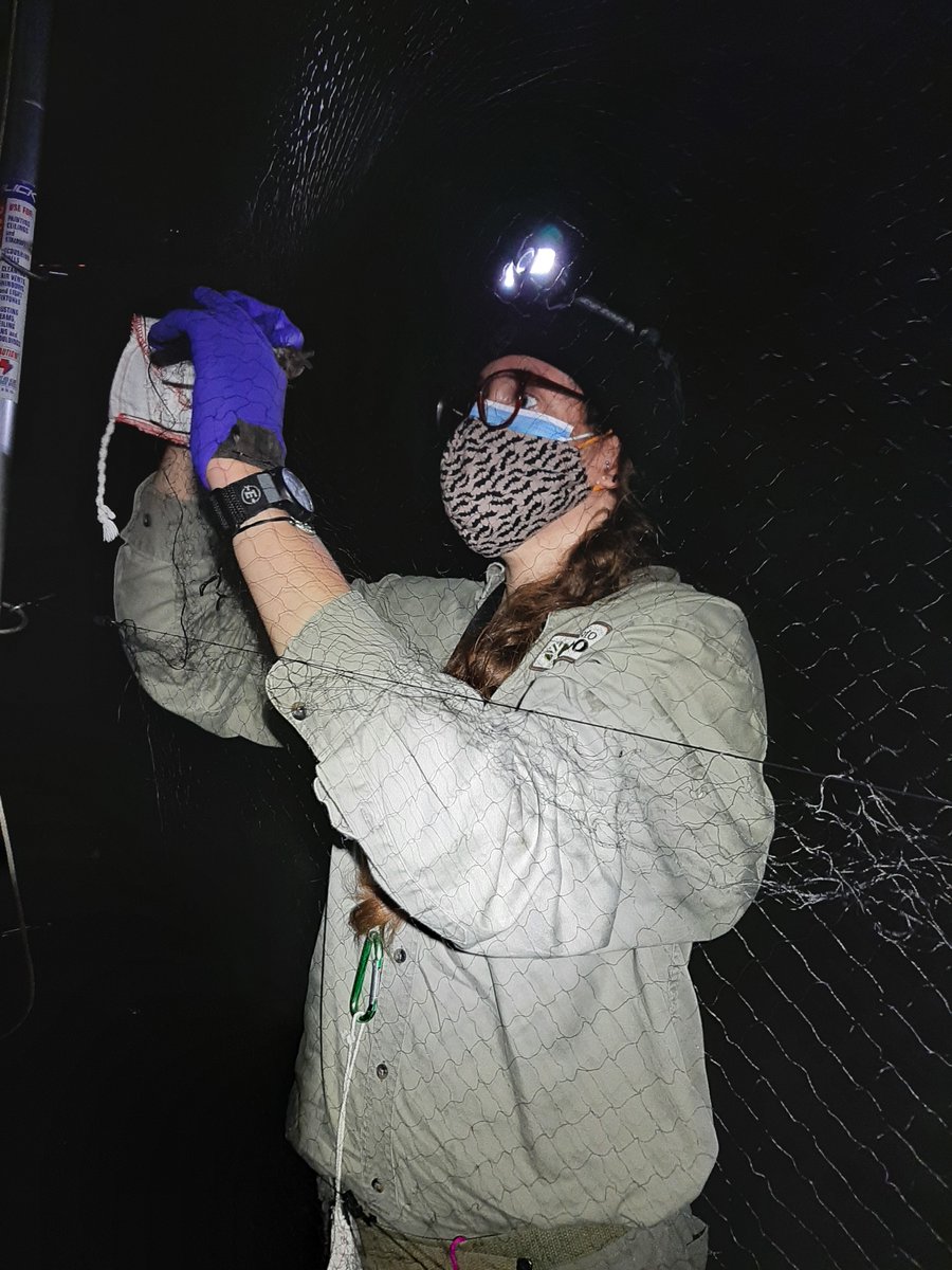 The Toronto Zoo tweet media