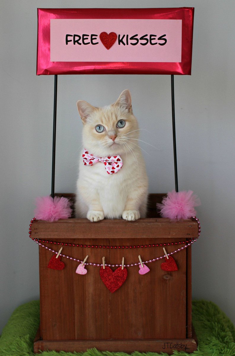 ~ FREE  KISSES ~
  💋   💋   💋   💋