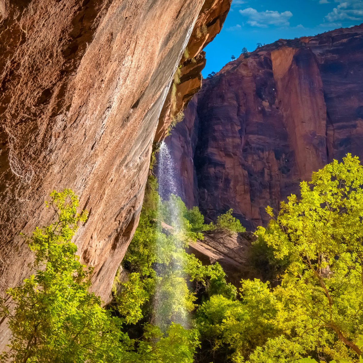 UtahIsAwesome's tweet photo. “An early morning walk is a blessing for the whole day.” – Henry David Thoreau #Utah https://t.co/27b07QRhWD