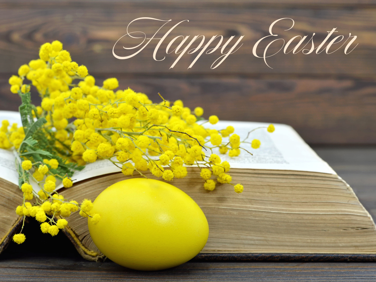 krisdkb's tweet photo. May your Easter be about more than chocolate. (But still some chocolate.) #HappyEaster #HeIsRisen https://t.co/w7ZtjWzIkW