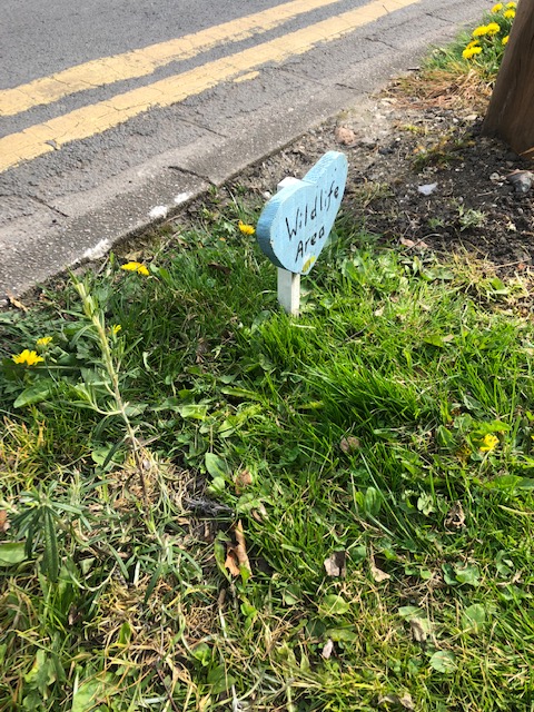 On the left is a Rosemary we planted in our pollinators' corridor. Despite it being mowed over by a council worker we were hopeful it might pull through. 
Then they returned and sprayed it with herbicide. So, I think we can be confident they've done a thorough job now.