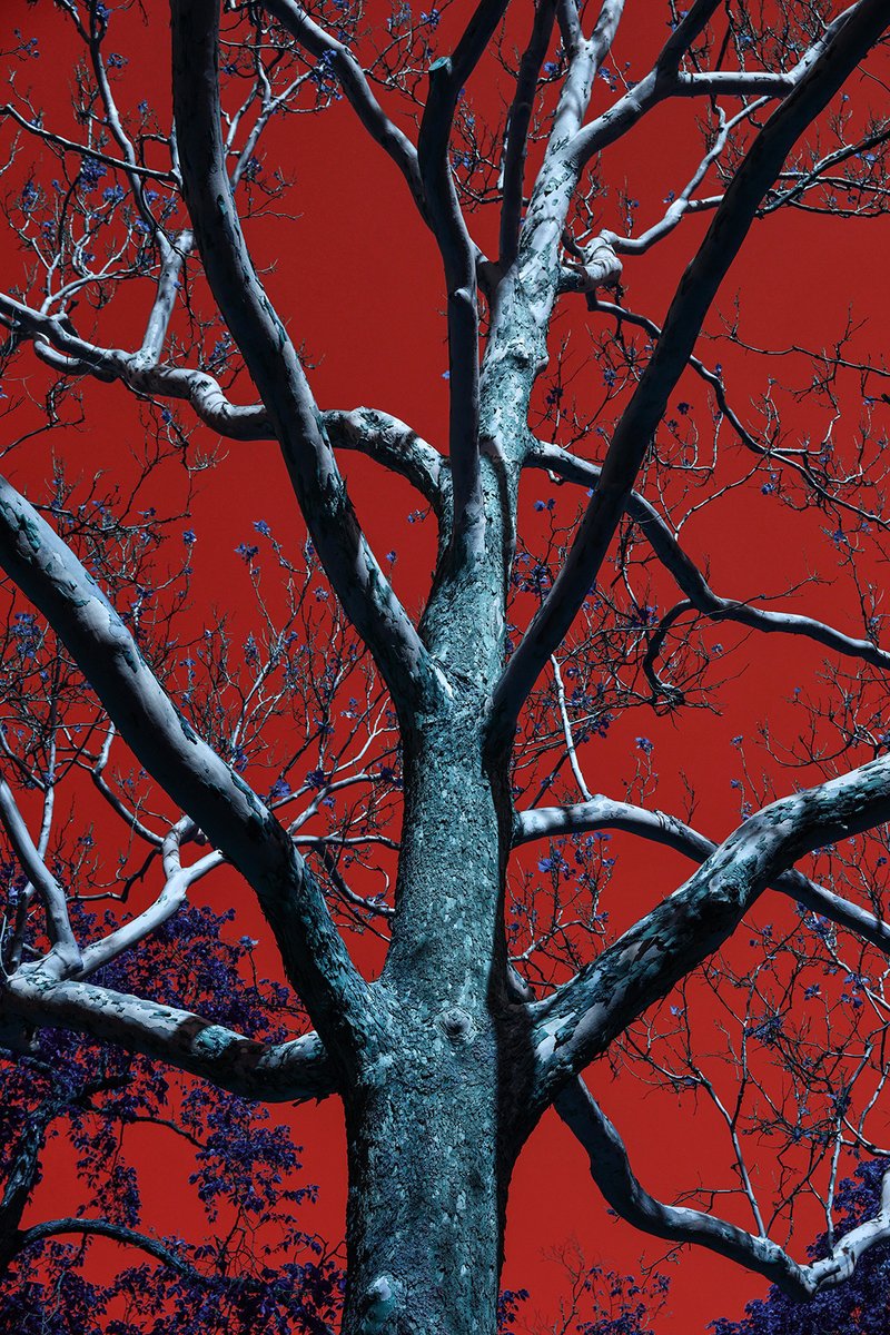 archillect's tweet image. 