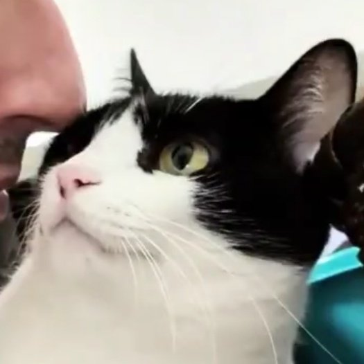 matching icons