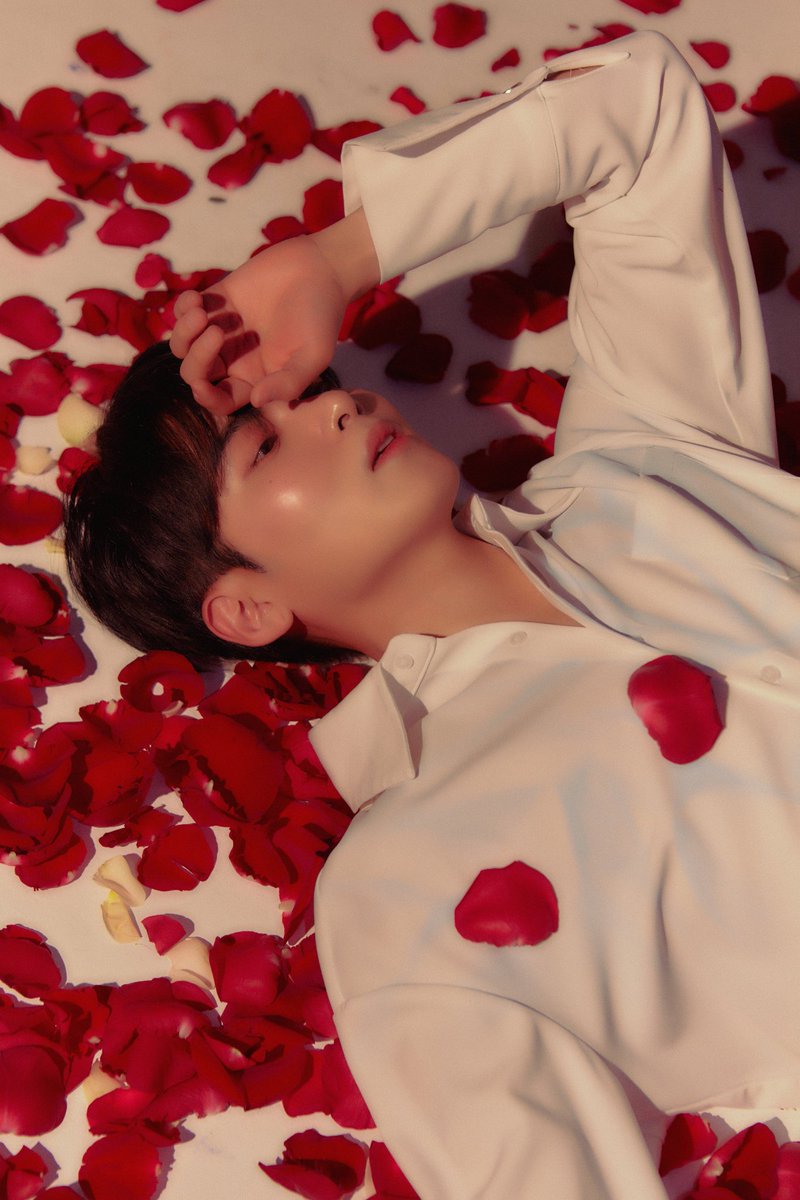 Ryeochive_'s tweet photo. The Little Prince > #A_Wild_Rose 🌹

The Prince is Back 🫶
#Ryeowook #려욱 @9ryeong9 https://t.co/rZWy86FLJ8