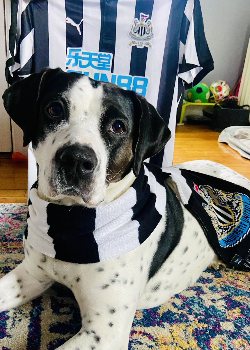 KaliHislop's tweet photo. HOWAY THE TOOOOON!!! Kaiso is loving the Eddie Howe era! @NBCSportsSoccer #MyPLMorning #NEWLEI https://t.co/qf0wUG942E