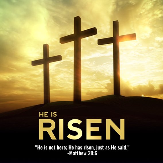 _WEGolf's tweet image. Happy Easter from World Exposure Report!