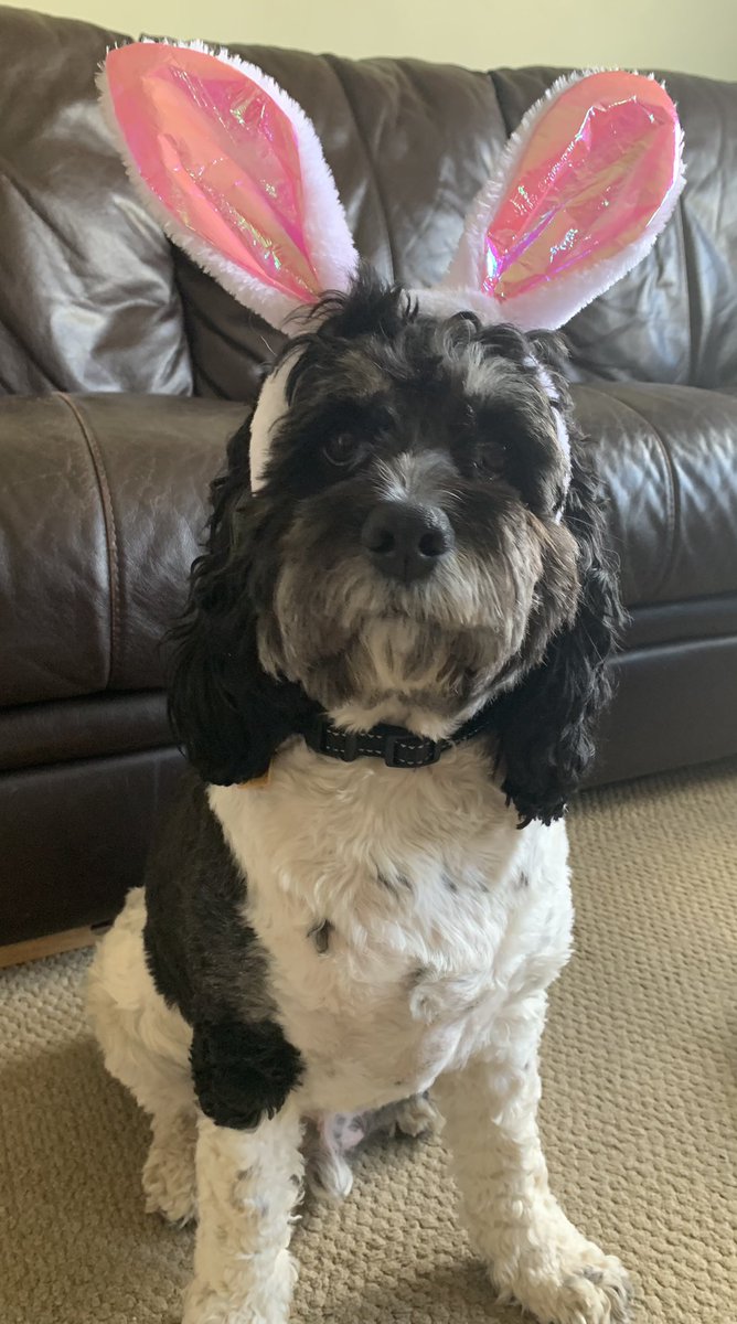 Happy Easter ! 🐣