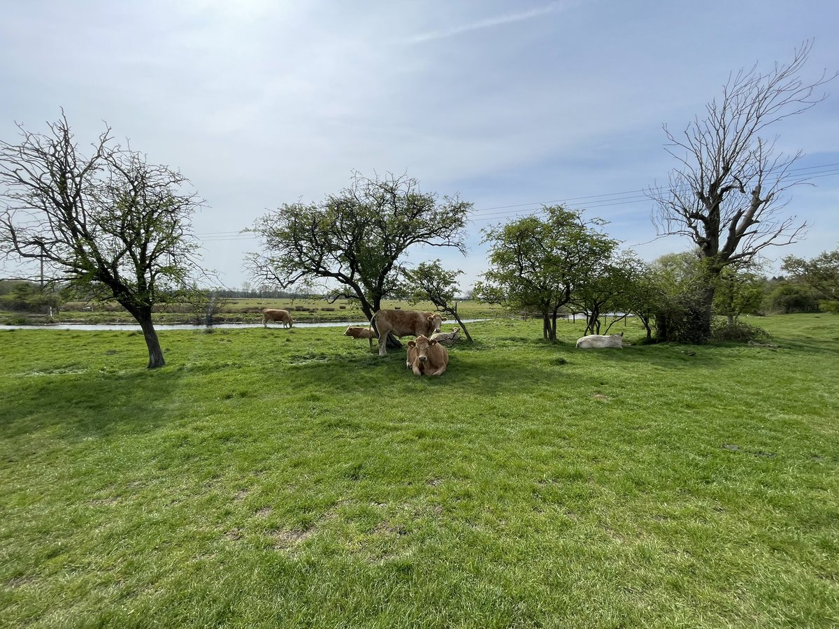 PaulHurst2020's tweet photo. A long walk with Mrs H and the dogs, to make way for lots of chocolate!
❤️🦮🚶‍♀️🦮🚶🏼🐾 #HappyEasterSunday https://t.co/Jj49BzJAxA