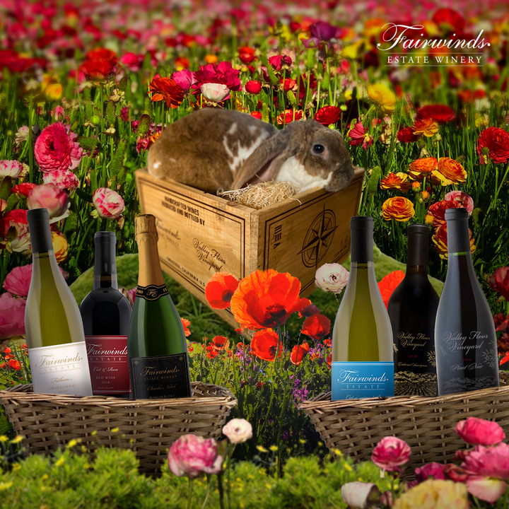 FairwindsEstate's tweet photo. Happy Easter! 🐰 We hope the Easter bunny brings you some of your favorite Fairwinds wines 🍷 Replenish your cellar at https://t.co/gnUKUVzHWc https://t.co/dGjUxUXWxW