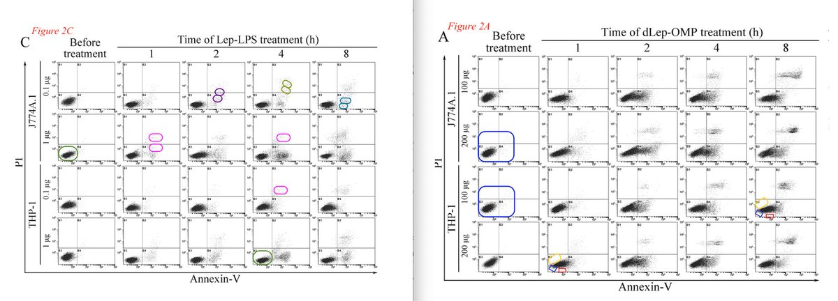 MicrobiomDigest's tweet image. Deep sigh.
@Tandfonline issues a correction for these #FlawCytometry panels. Authors apologize for "an accidental duplication". 
Come on, Taylor and Francis - can you please revisit this #BadEditorialDecision ?
pubpeer.com/publications/6…