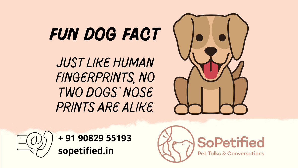 #dogfacts #animalcommunicator