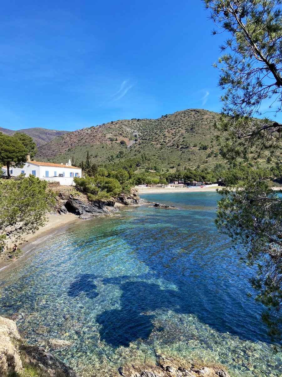 Albert Bru tweet media