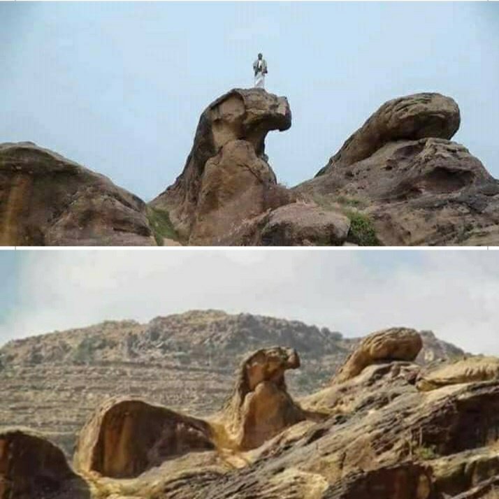 #صورة_ملف_شخصي_جديدة