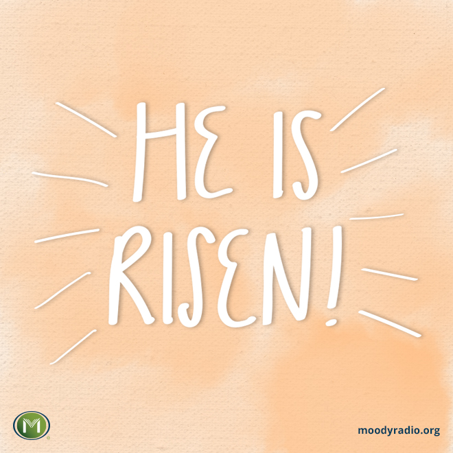 KarlandCrew (@karlandcrew) on Twitter photo 