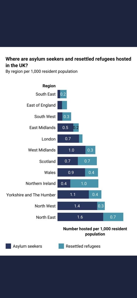 juliewhizbit's tweet image. 