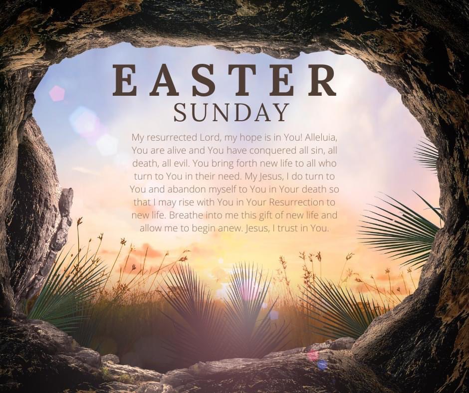 PCScrusaders's tweet image. 