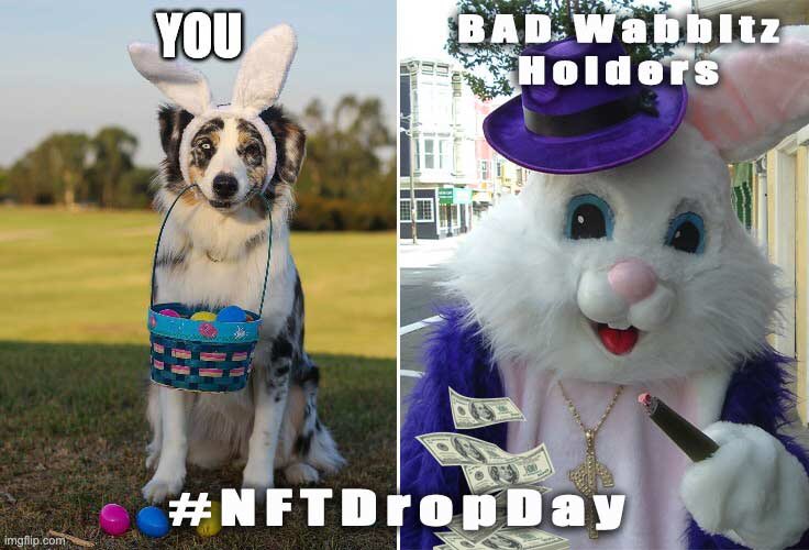 Satonisnft's tweet photo. @badwabbitznft #BWMEME https://t.co/P0yQfVX5r0