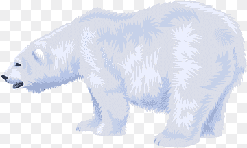 Nunca se ha de vender la piel del gran oso blanco antes de cazarlo