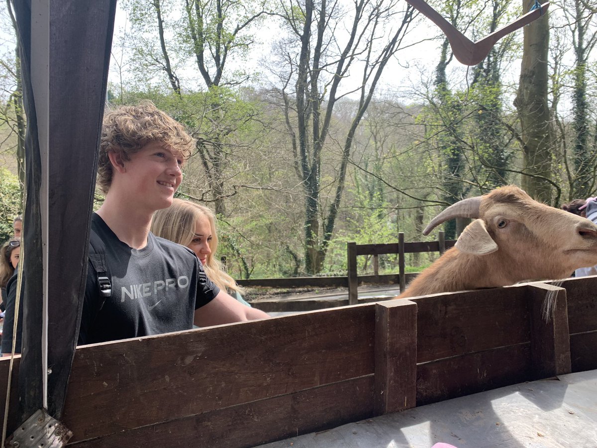 Perfect Easter Sunday <a href="/PigsInTheWoods/">Pigs In The Woods</a> #pigs #sanctuary #Easter