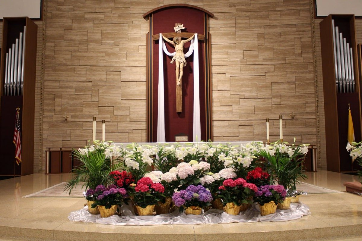 raffalautner's tweet photo. This man, God rose again on the third day, and gave him the obvious,
Not to all, but to us,
Witnesses chosen in advance by God,
After he rose from the dead, he ate and drank with him https://t.co/CGi1yR8LKE