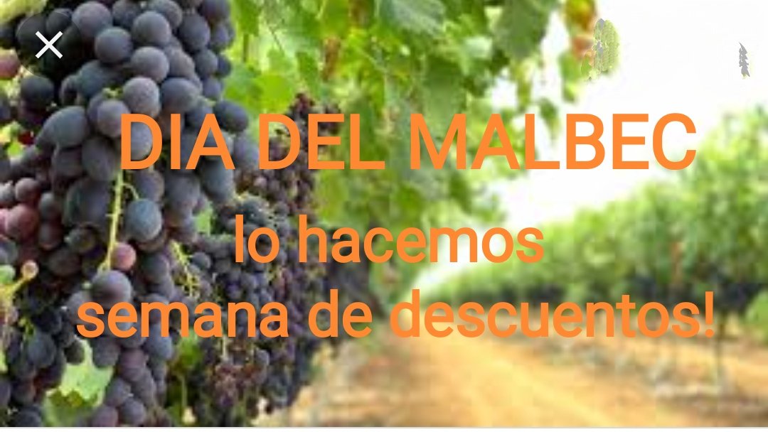 vinoamicopa tweet media