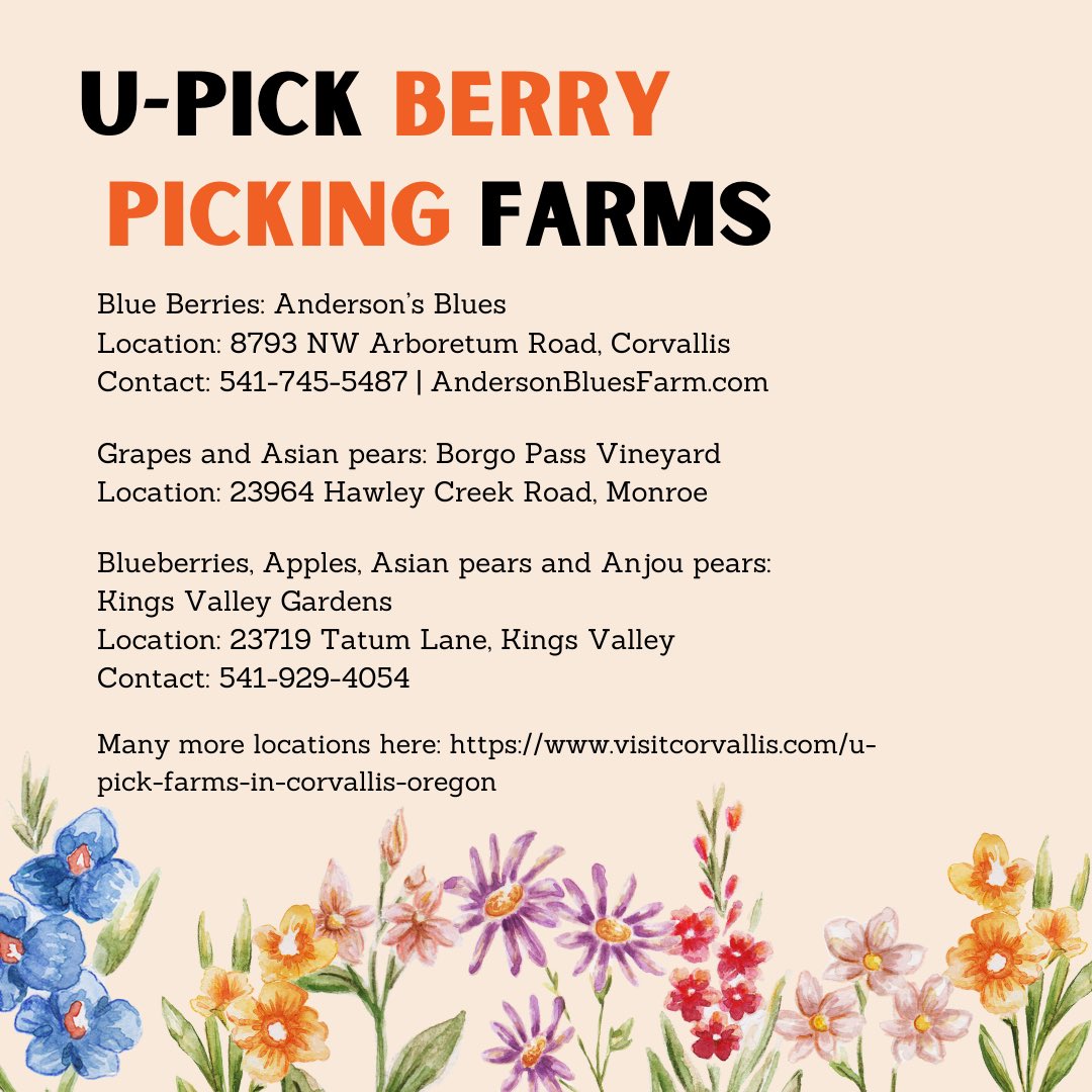 Psyched Out OSU tweet media