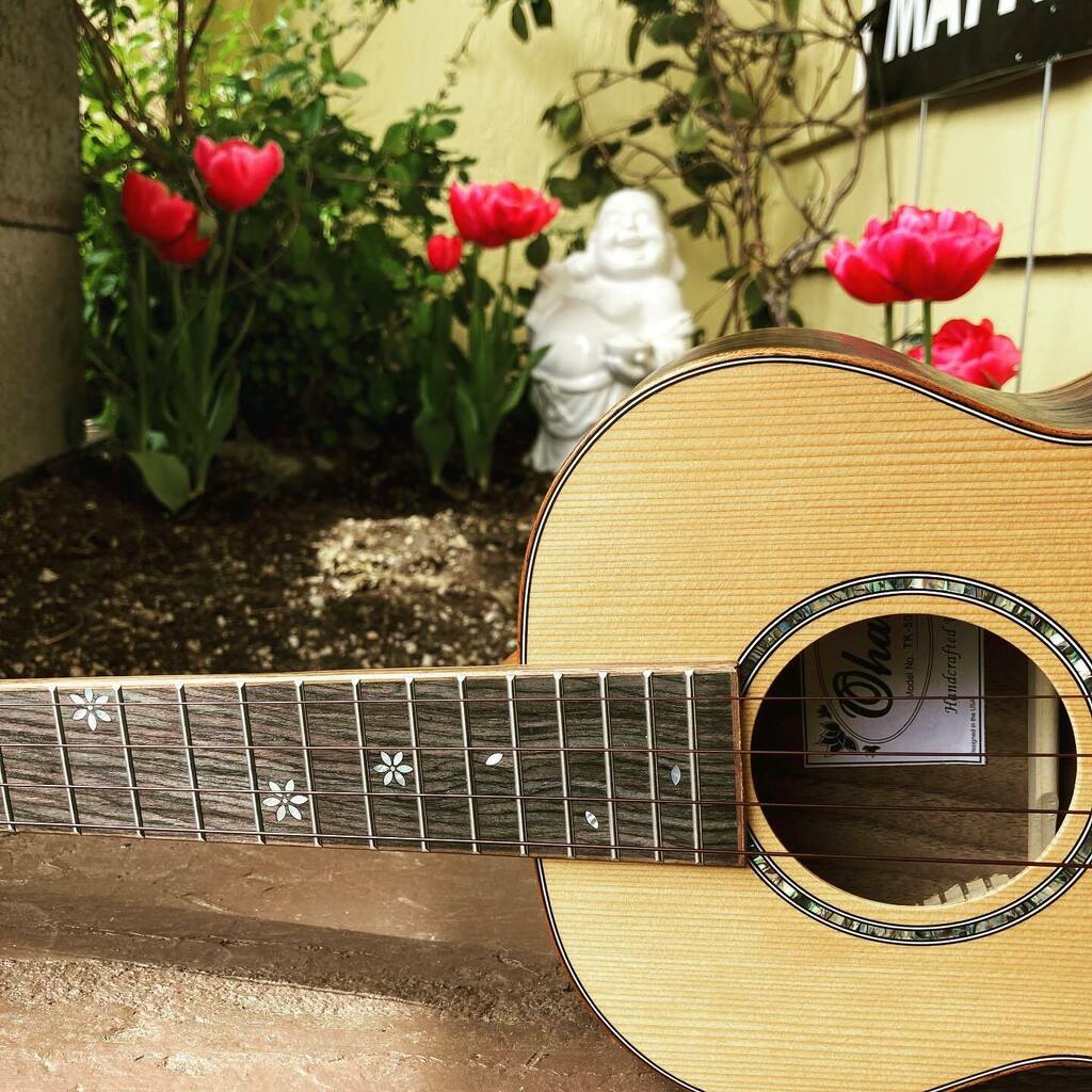 DaniJoyMusic's tweet photo. Happy Easter β¨π·ππ·β¨
#ukulele #daisyuke #flowerstagram #buddha #gardenbuddha #garden https://t.co/VSsa2zrKGd https://t.co/fRHxdJWnEo