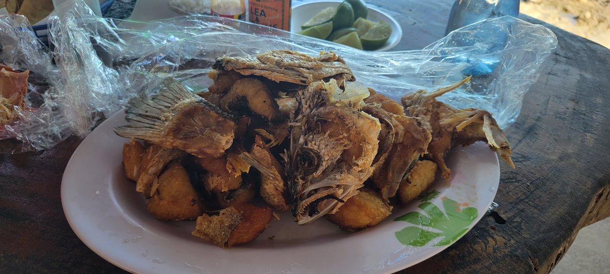 ayalacar22's tweet photo. @berthamariaD @malcolm_sv Yo fui en enero de este año son riquísimos los chicharrones de pescado https://t.co/tIwJqhZ2Xc