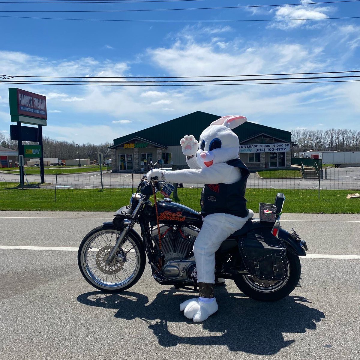Whetnall81's tweet photo. Who knew the Easter bunny rode a Harley…? #harleydavidson #easter https://t.co/QSHH1TFL4B