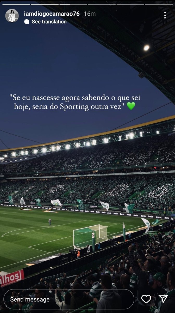magui_oliveira tweet picture