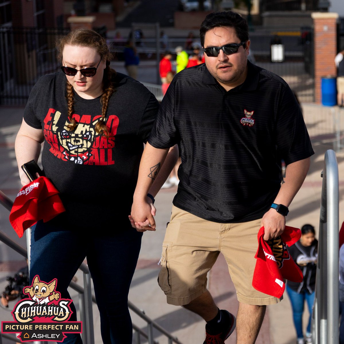 epchihuahuas's tweet photo. Picture Perfect Fans presented by @AshleyHomeStore https://t.co/6tyNEux5Va
