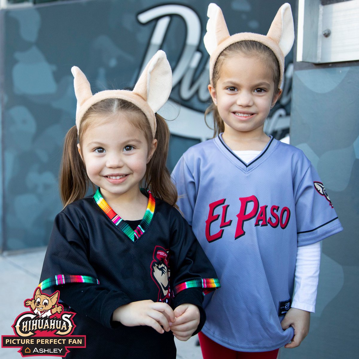 epchihuahuas's tweet photo. Picture Perfect Fans presented by @AshleyHomeStore https://t.co/6tyNEux5Va