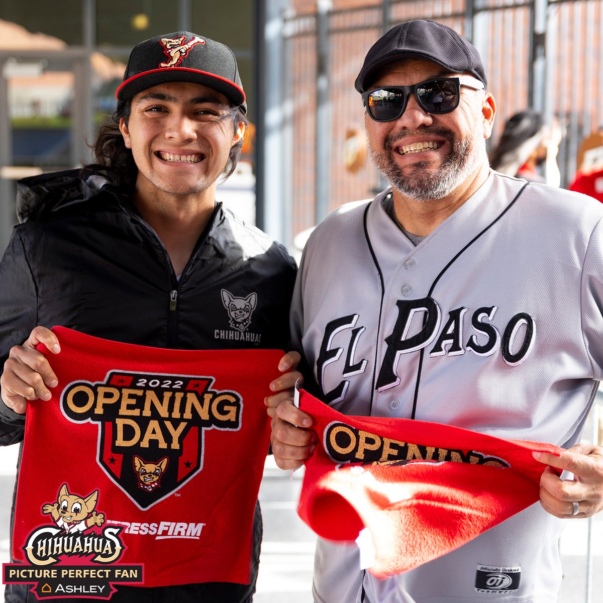 epchihuahuas's tweet photo. Picture Perfect Fans presented by @AshleyHomeStore https://t.co/6tyNEux5Va