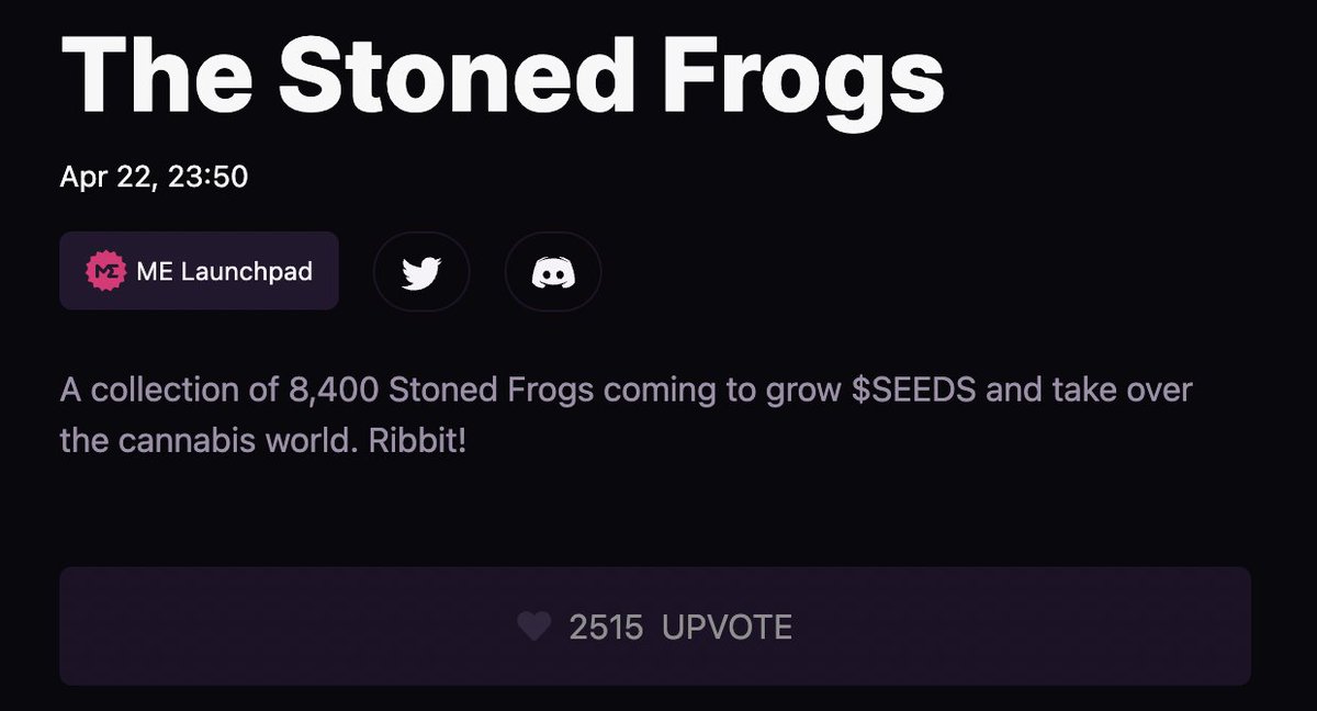 The Stoned Frogs tweet media