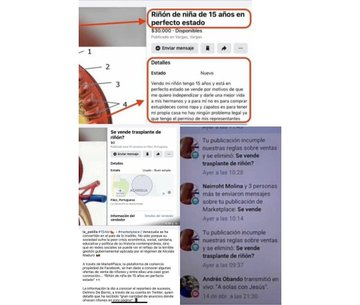InformadorVeraz's tweet photo. Detenida en Portuguesa LA REVOLUCIONARIA, CHAVISTA y MILITANTE DEL PSUV marielys del carmen yedra, con CASA REGALADA POR LA MISION VIVIENDA (quinta oleada) por publicaciones en la que ofrecia ilegalmente a través de Marketplace un riñón por la cantidad de 20.000 dólares https://t.co/gB0Kd2WxMa