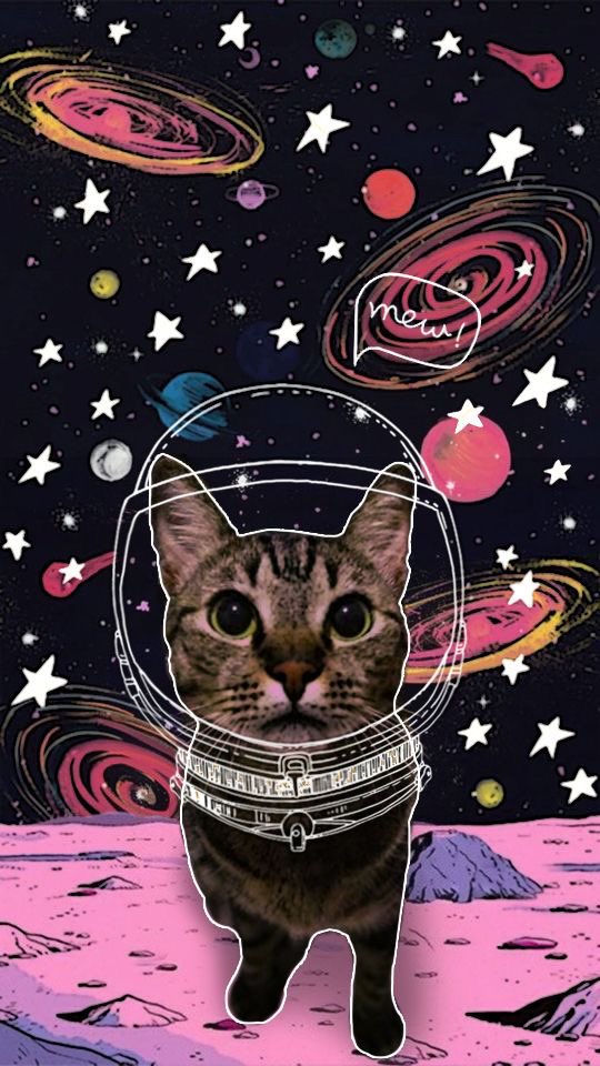 Cat Coin Army tweet media