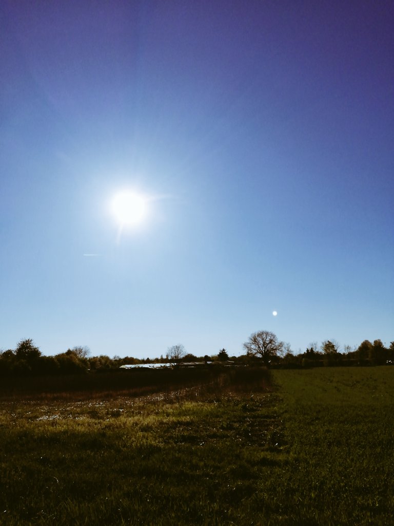 ドイツ語学習 Twitter Search Twitter