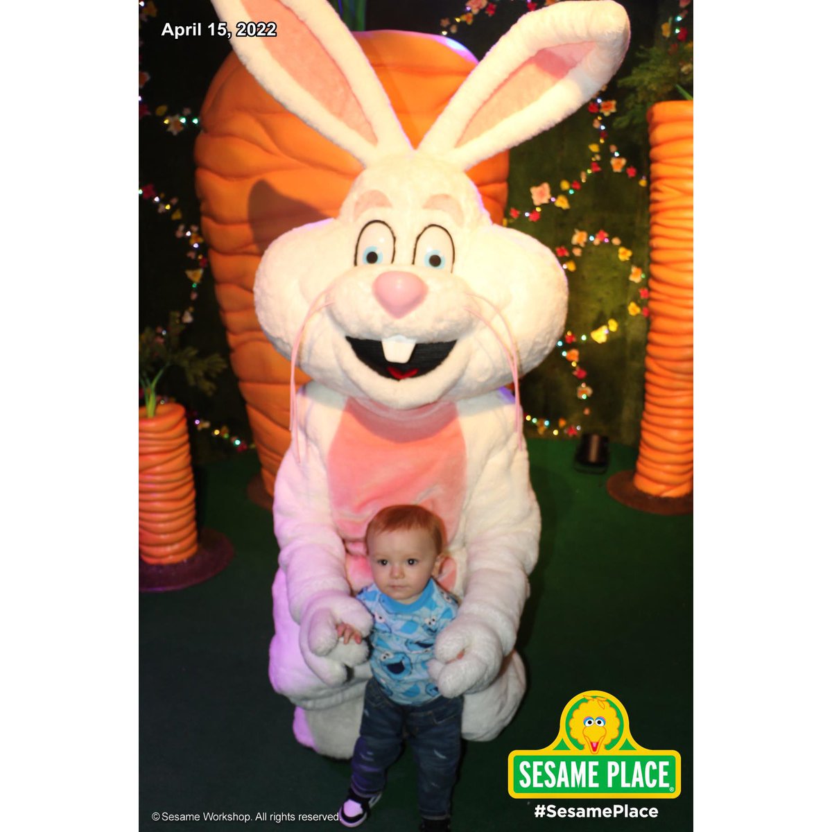 LizMariex0_'s tweet photo. Happy Easter ๐ฃ๐ฐโค๏ธ #ATTBaby https://t.co/CPJjzbRBVc